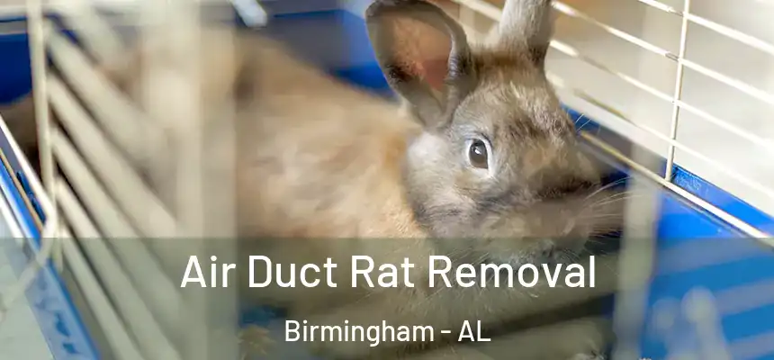 Air Duct Rat Removal Birmingham - AL