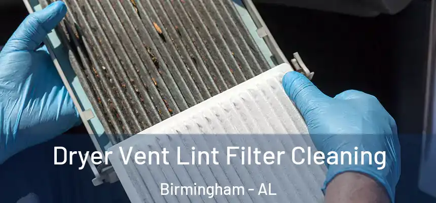  Dryer Vent Lint Filter Cleaning Birmingham - AL