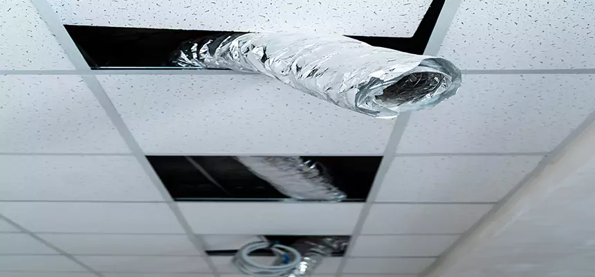 Our Air Duct Pet Hair Removal Services in Birmingham, AL