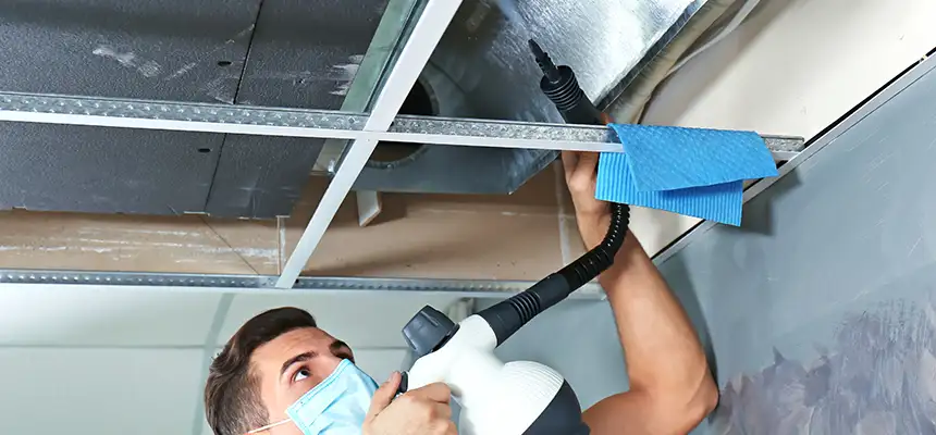 Our Air Duct Rodent Removal Services in Birmingham, AL