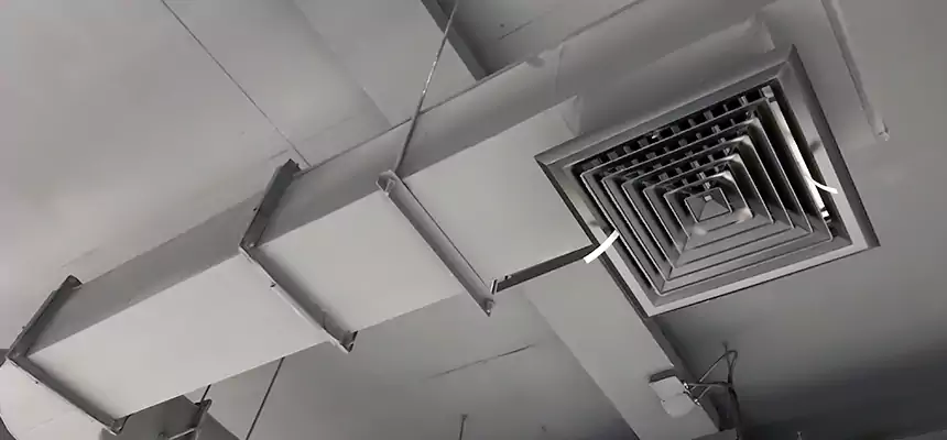 Our Pest Removal From Ducts Services in Birmingham, AL