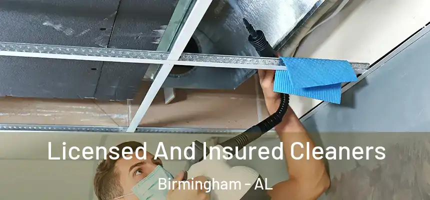 Licensed And Insured Cleaners Birmingham - AL