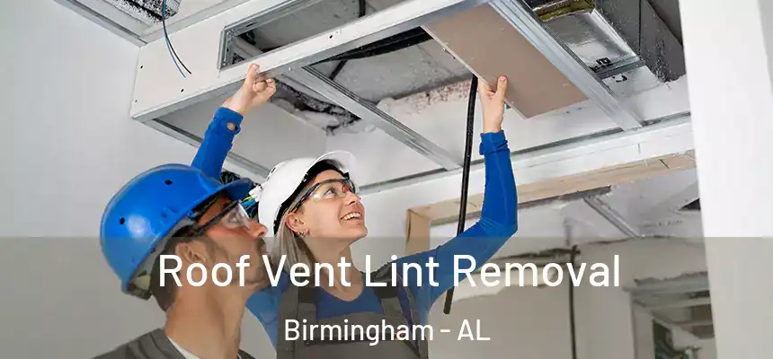 Roof Vent Lint Removal Birmingham - AL
