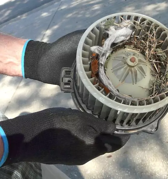 About Air Duct Mice Removal in Birmingham, AL