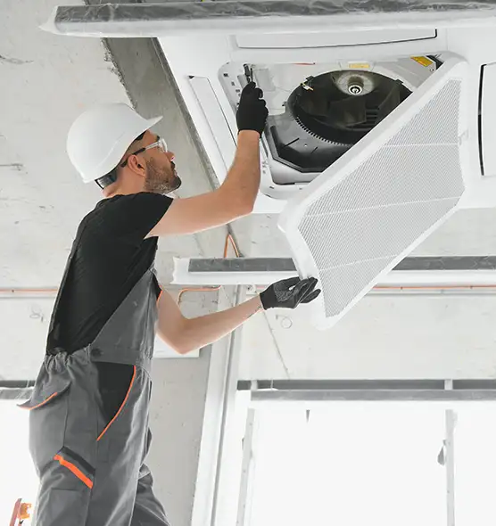 About Air Duct Rodent Removal in Birmingham, AL