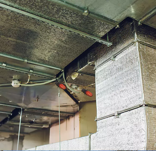 Why Homeowners & Businesses Trust Us in Birmingham, AL?