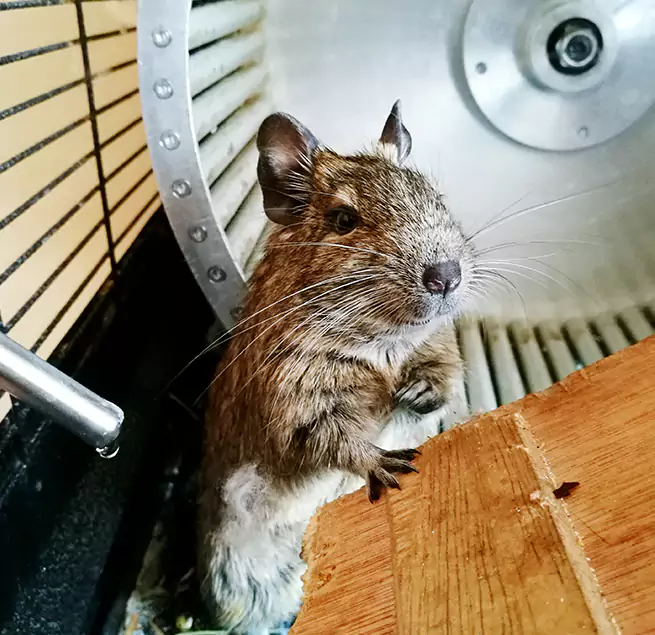 Why Homeowners & Businesses Trust Us Birmingham, AL