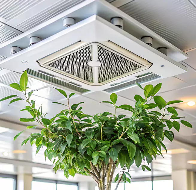 Why Homeowners & Businesses Trust Us in Birmingham, AL?